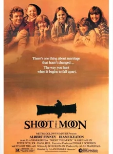 l'usure-du-temps_alan_parker_wikicine_streaming_cinepedia_boutique