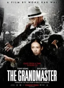 affiche_the_grandmaster_wong_kar_wai_wikicine_streaming_cinepedia_boutique
